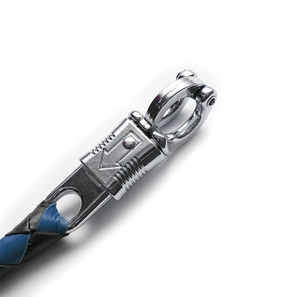 Get Back Whip - Image 2